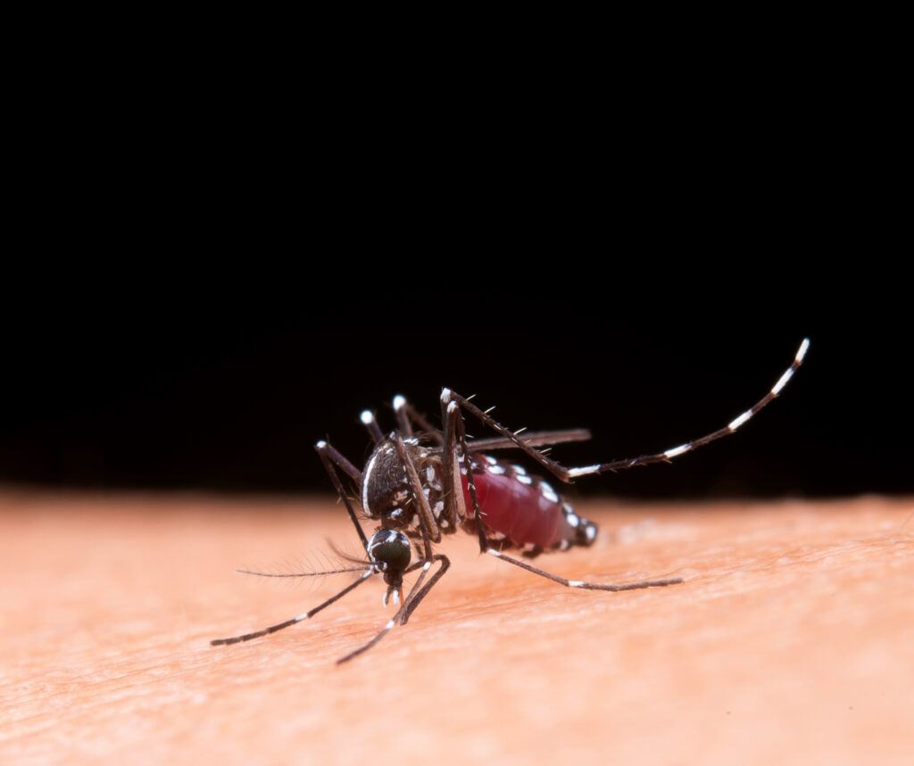 why do mosquitoes bite me so much